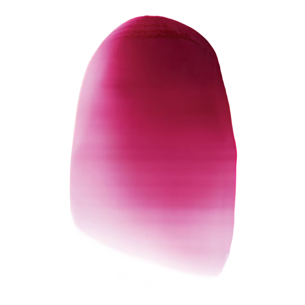 e.l.f. Cosmetics - Glossy Lip Stain